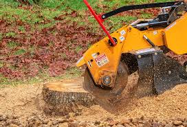 Tree and Shrub Care in Heyworth, IL